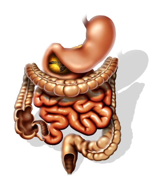 Trimebutin Facharztwissen