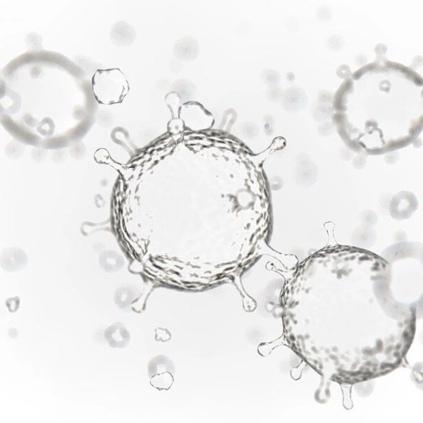 Exanthema Subitum Facharztwissen